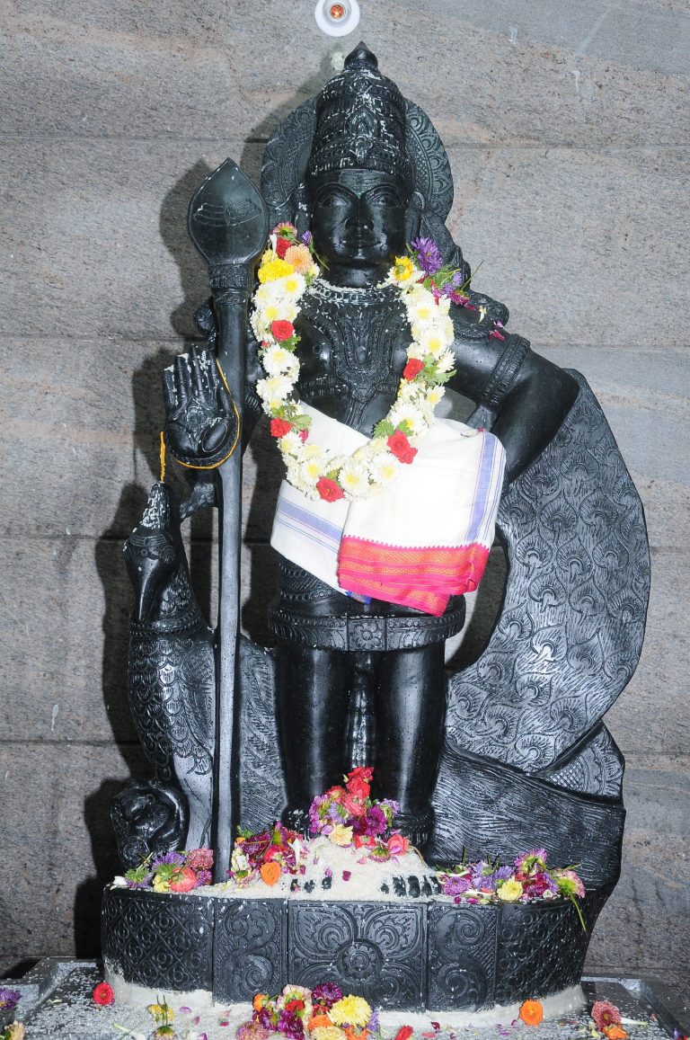 Shri Subramanya Swamy